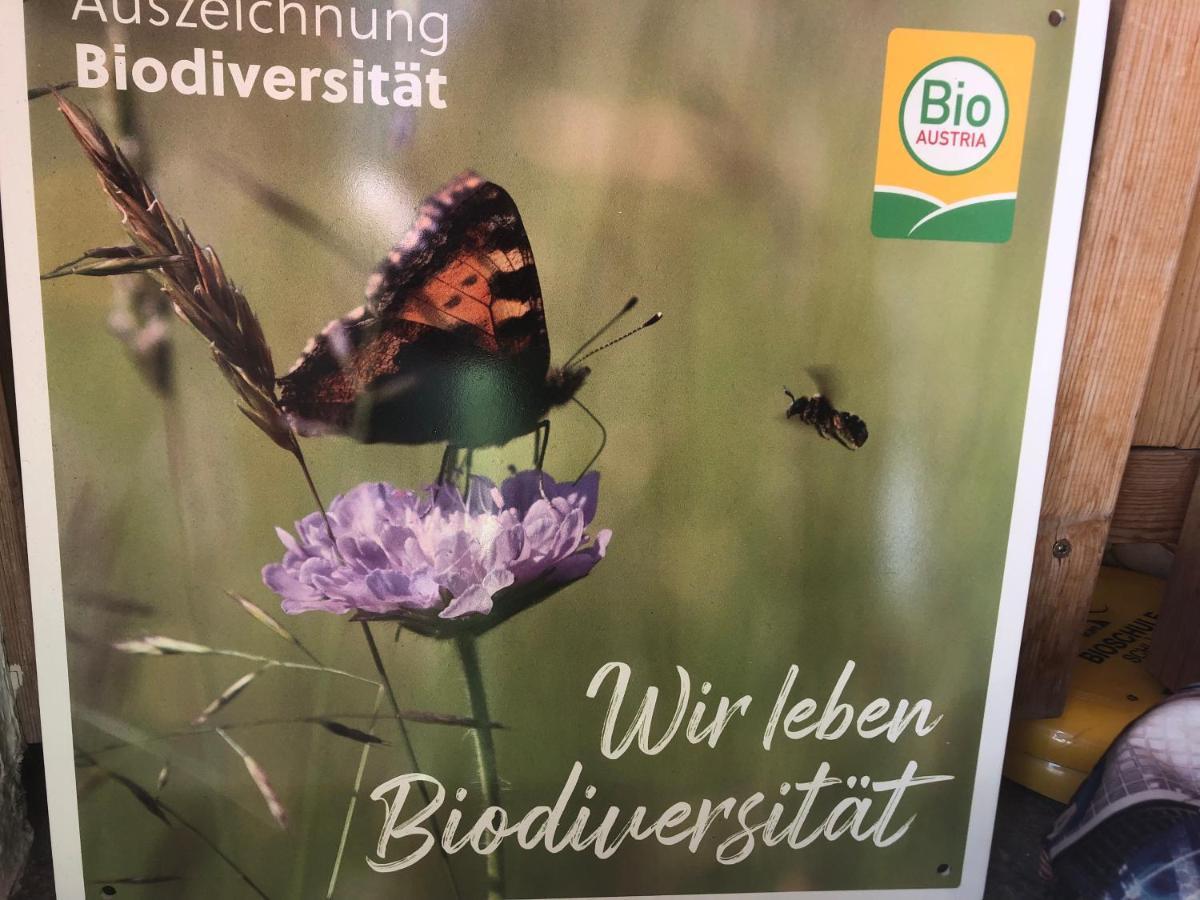 Biohof Sauschneider Leilighet Sankt Margarethen im Lungau Eksteriør bilde
